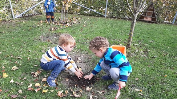 Kibe_Bienenwabe_Draußen_im_Garten___3_