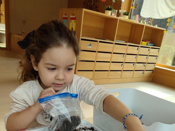 _Kindergarten_Susi_Weigel__Bohnen_pflanzen__12