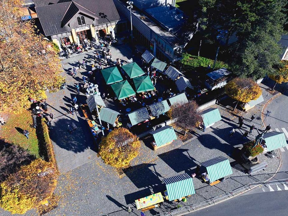 image-46329