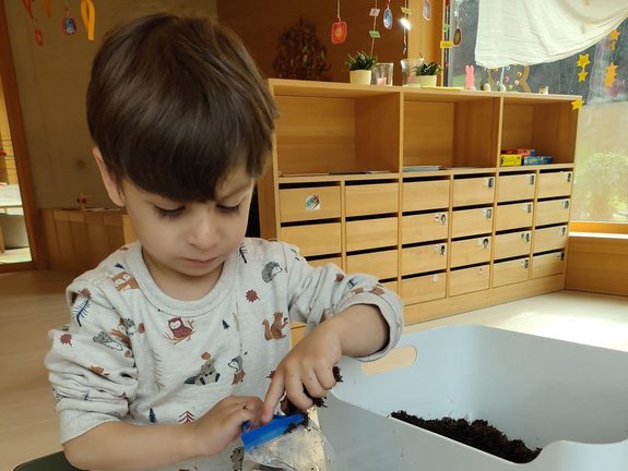 _Kindergarten_Susi_Weigel__Bohnen_pflanzen__12