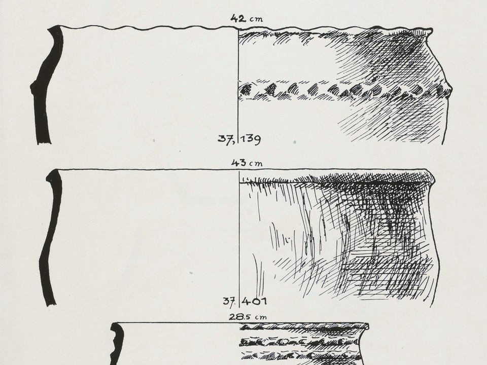 image-46006