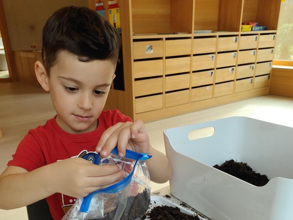 _Kindergarten_Susi_Weigel__Bohnen_pflanzen__12