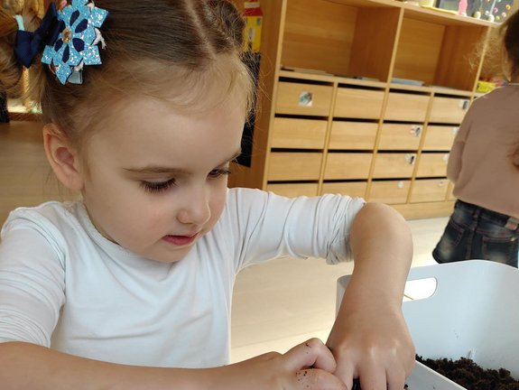 _Kindergarten_Susi_Weigel__Bohnen_pflanzen__12