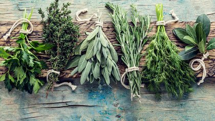 fresh herbs on wooden background with space for text