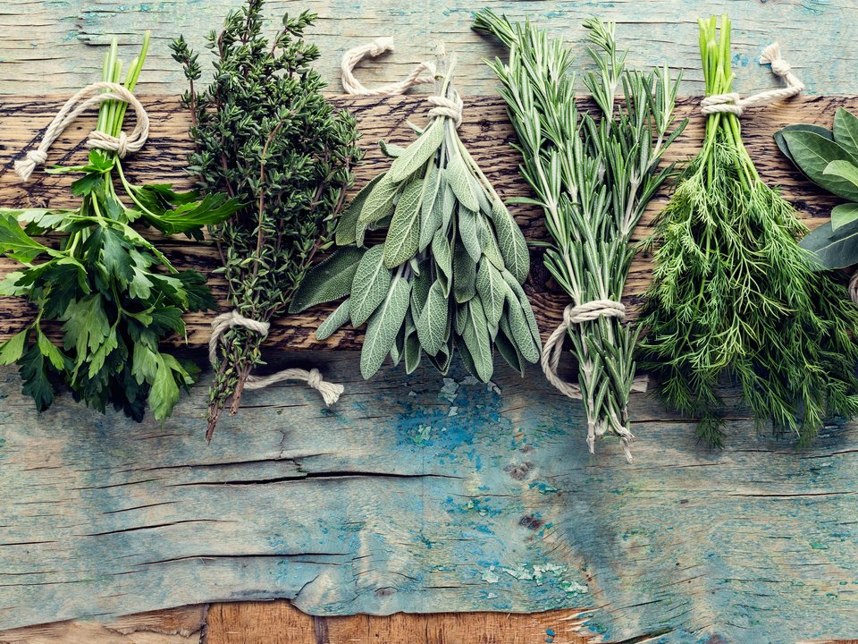 fresh herbs on wooden background with space for text