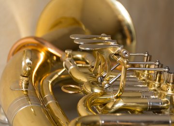 Tenorhorn