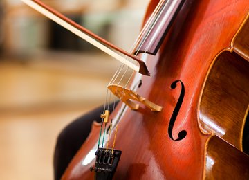 Violoncello