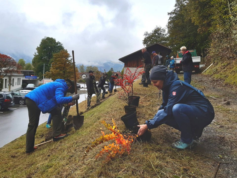 Bei der gemeinschaftlichen Pflanzaktion mit Stadtgärtner Lorenz Bischof konnten sich die Teilnehmer praktische Tipps für den eigenen Garten holen.