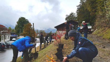Bei der gemeinschaftlichen Pflanzaktion mit Stadtgärtner Lorenz Bischof konnten sich die Teilnehmer praktische Tipps für den eigenen Garten holen.