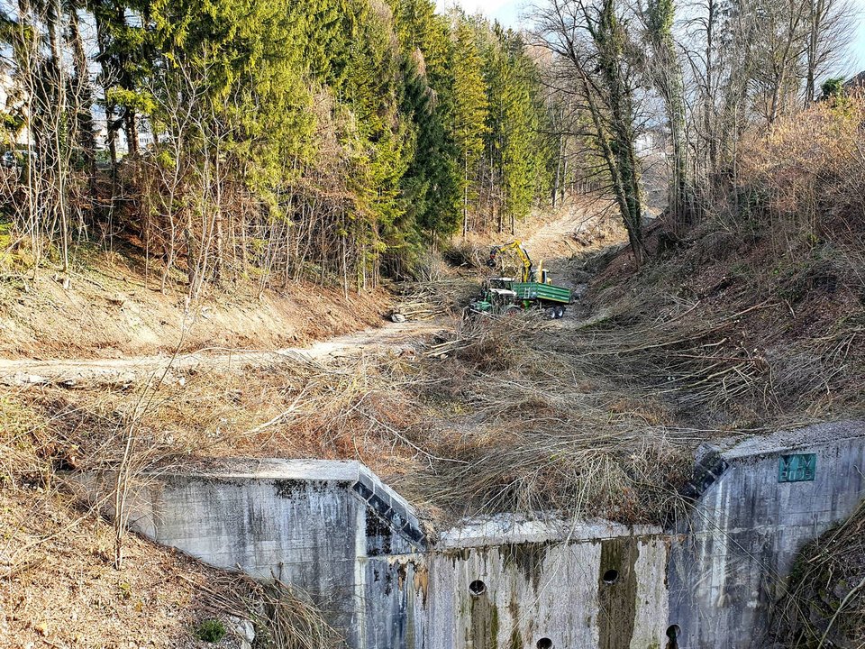 Pflegearbeiten beim Bludenzer Galgentobel