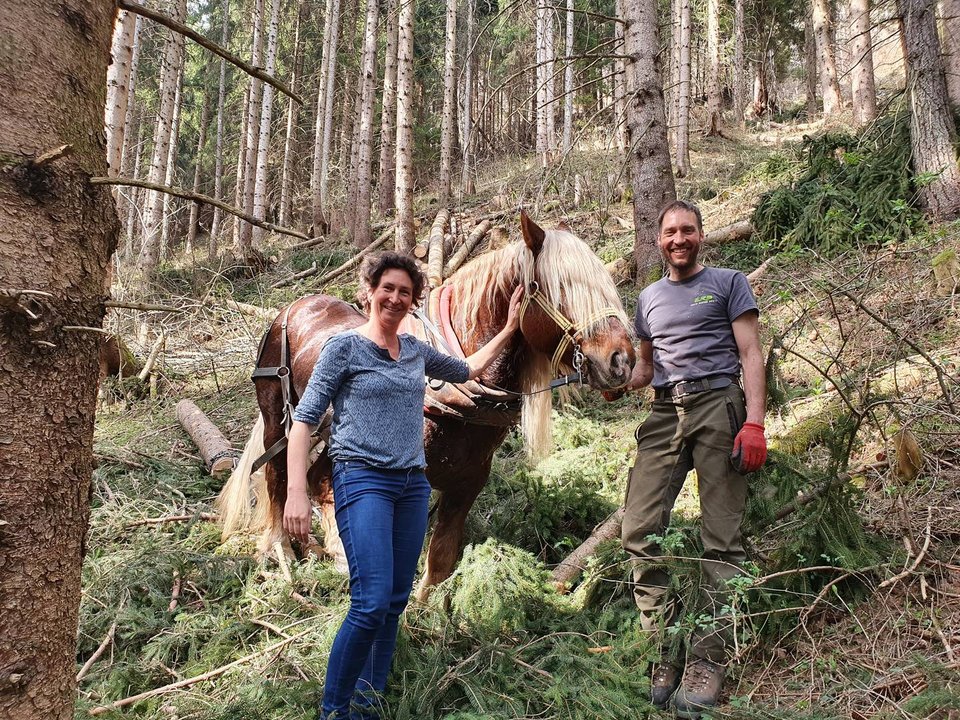 Stadträtin Martina Brandstetter mit Holzakkordanten Peter Erath und Hengst Tonio