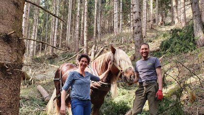 Stadträtin Martina Brandstetter mit Holzakkordanten Peter Erath und Hengst Tonio